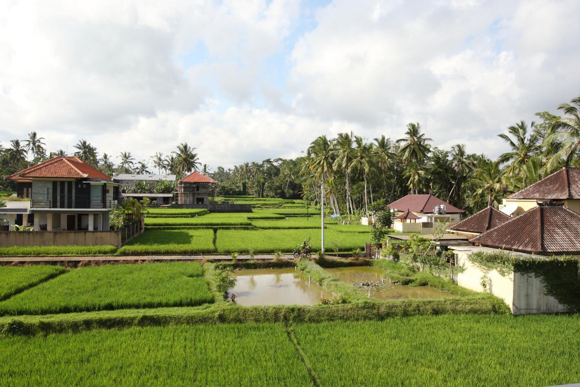 Swarapadi Villa Ubud Exterior foto